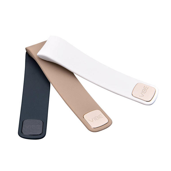 機器視覺外觀檢測手環表帶方案ppt